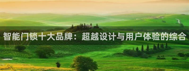 利记厨具官网客服电话：智能门锁十大品牌：超越设计与用户体验的