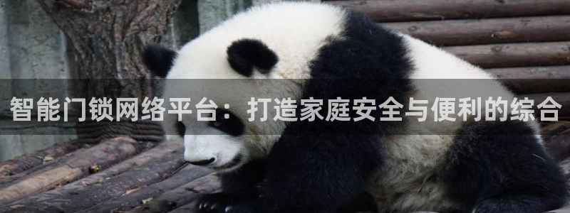 sbotop利记官网：智能门锁网络平台：打造家庭安全与便利的