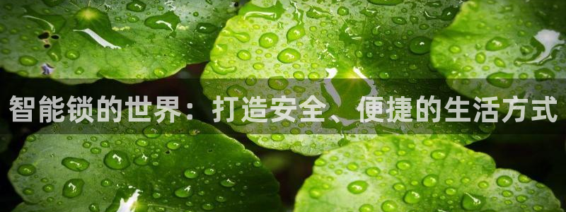利记手机官网入口：智能锁的世界：打造安全、便捷的生活方式