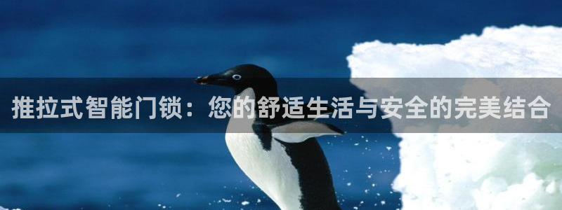 利记app官方官网登录：推拉式智能门锁：您的舒适生活与安全的