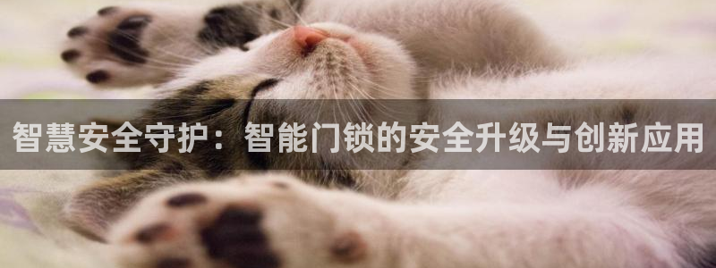 利记正式官网：智慧安全守护：智能门锁的安全升级与创新应用