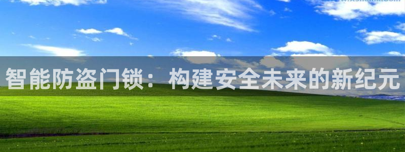 利记手机官网电子mg官方网站：智能防盗门锁：构建安全未来的新