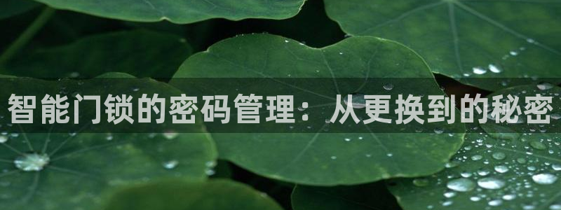 利记平台官网：智能门锁的密码管理：从更换到的秘密