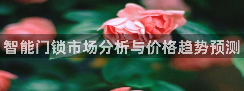 利记sbobet官网电脑版：智能门锁市场分析与价格趋势预测