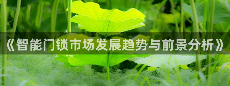 利记官网在线投注：《智能门锁市场发展趋势与前景分析》