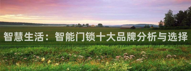 利记厨具官网客服电话：智慧生活：智能门锁十大品牌分析与选择