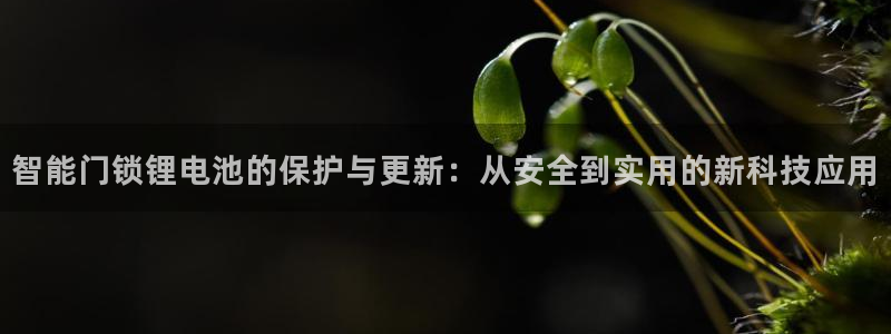 利记广告联盟官网：智能门锁锂电池的保护与更新：从安全到实用的