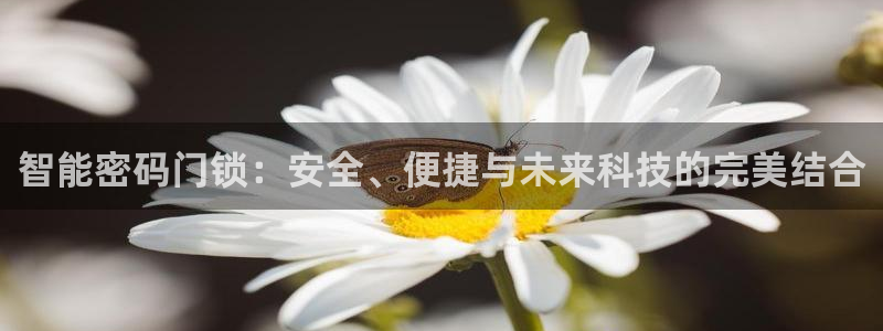 利记官网入口：智能密码门锁：安全、便捷与未来科技的完美结合