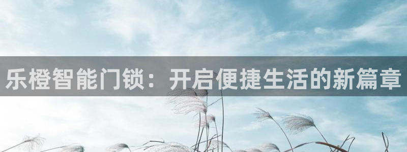 香港利记集团官网旗舰店：乐橙智能门锁：开启便捷生活的新篇章