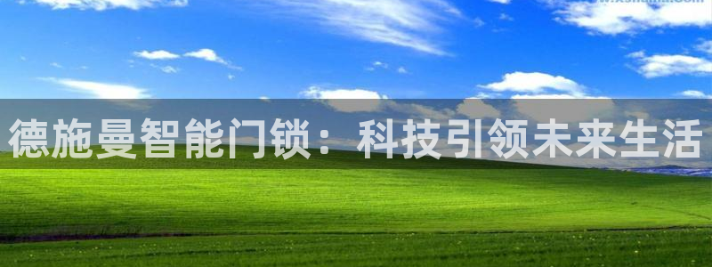 利记官网备用网址：德施曼智能门锁：科技引领未来生活