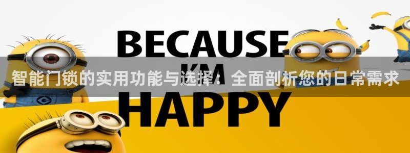 利记厨具官网售后：智能门锁的实用功能与选择：全面剖析您的日常