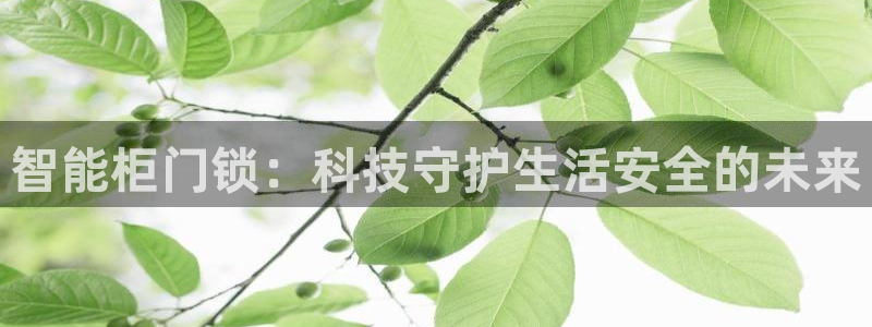 利记彩票官网网址官网hd71：智能柜门锁：科技守护生活安全的