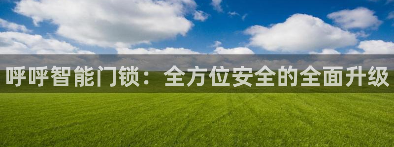 利记app官网：呼呼智能门锁：全方位安全的全面升级
