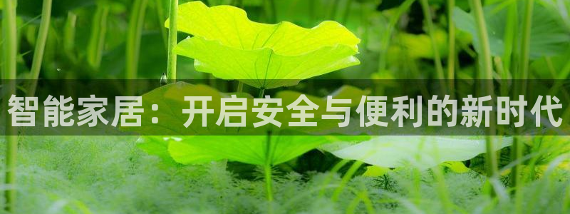 利记坊官网注册账号：智能家居：开启安全与便利的新时代