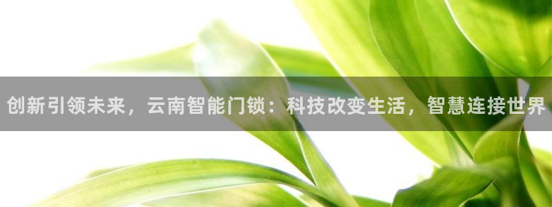 利记网官网网址