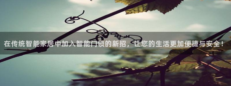 利记亚洲官网：在传统智能家居中加入智能门锁的新招，让您的生活