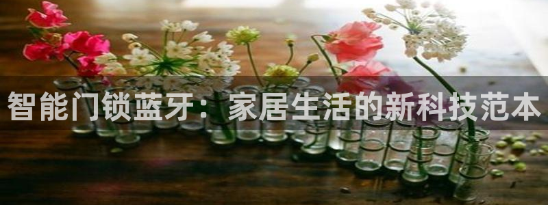 利记体育官网地址：智能门锁蓝牙：家居生活的新科技范本
