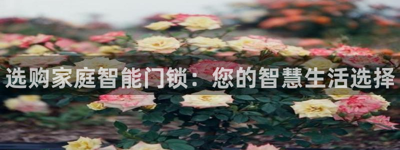 利记手机官网电子mg官方网站：选购家庭智能门锁：您的智慧生活