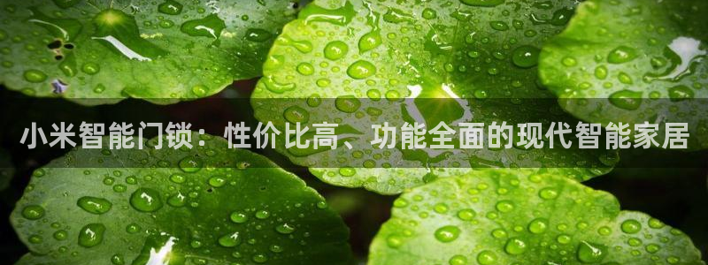 利记官网首页：小米智能门锁：性价比高、功能全面的现代智能家居