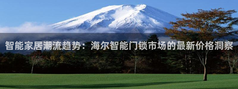 利记sbobe官网：智能家居潮流趋势：海尔智能门锁市场的最新