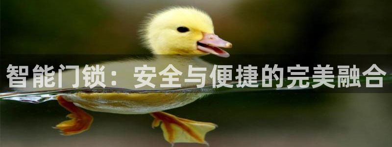 利记官网app下载网址日博官网网址：智能门锁：安全与便捷的完