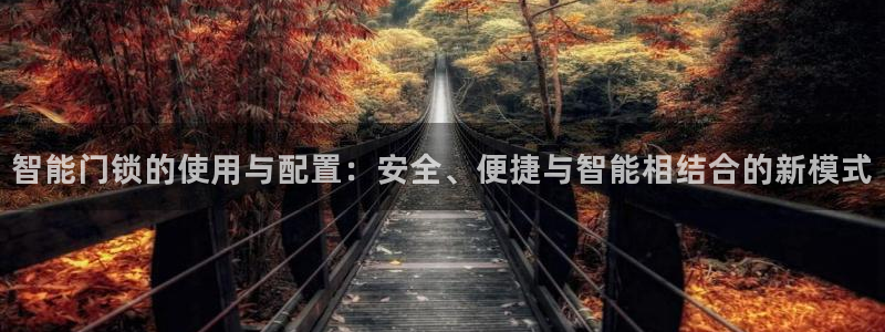 利记官网注册网：智能门锁的使用与配置：安全、便捷与智能相结合