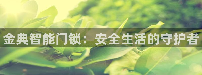 利记手机官网入口：金典智能门锁：安全生活的守护者