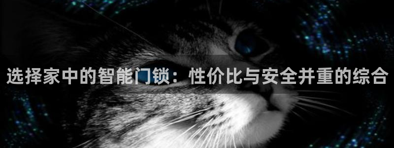 sbo利记体育官网：选择家中的智能门锁：性价比与安全并重的综