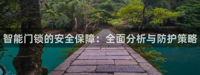 利记坊官网注册账号：智能门锁的安全保障：全面分析与防护策略