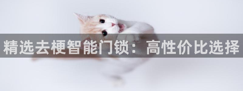 利记网址注册官网：精选去梗智能门锁：高性价比选择