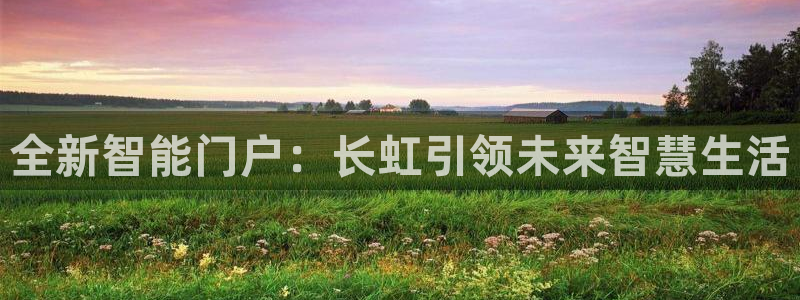 利记手机官网银河网：全新智能门户：长虹引领未来智慧生活