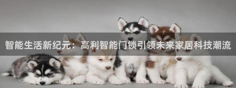 利记游戏官网：智能生活新纪元：高利智能门锁引领未来家居科技潮