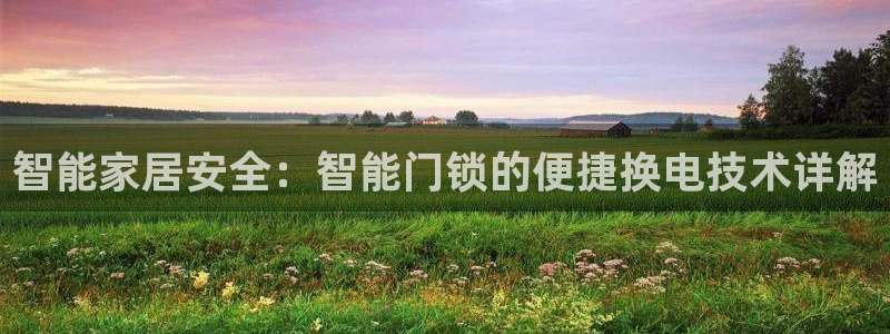 利记科技有限公司官网：智能家居安全：智能门锁的便捷换电技术详
