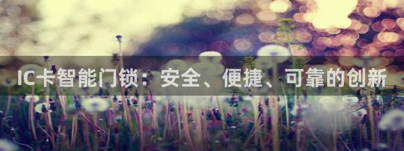 利记官网电脑版：IC卡智能门锁：安全、便捷、可靠的创新