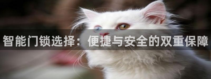 利记现场官网：智能门锁选择：便捷与安全的双重保障