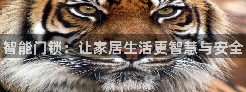 利记官网电脑版：智能门锁：让家居生活更智慧与安全