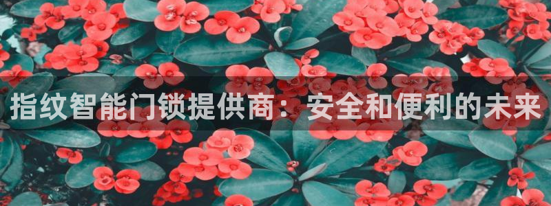 利记体育投注官网：指纹智能门锁提供商：安全和便利的未来