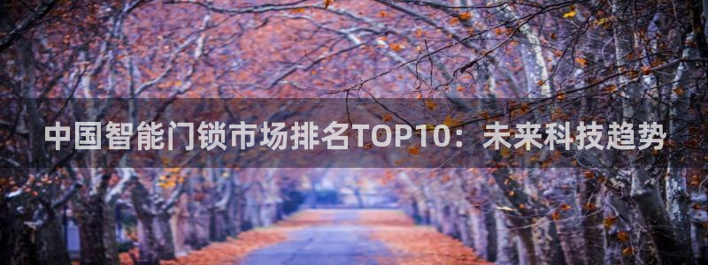 利记坊官网：中国智能门锁市场排名TOP10：未来科技趋势