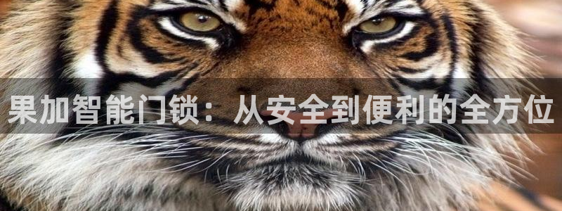 利记网官网：果加智能门锁：从安全到便利的全方位