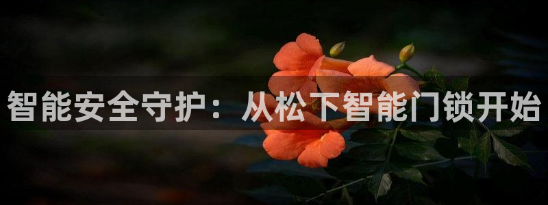 利记信誉官网：智能安全守护：从松下智能门锁开始