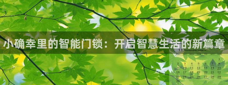 利记官网是真的吗：小确幸里的智能门锁：开启智慧生活的新篇章