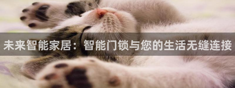利记坊平台唯一官网：未来智能家居：智能门锁与您的生活无缝连接