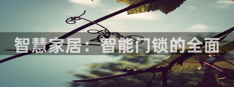 利记国际官网：智慧家居：智能门锁的全面