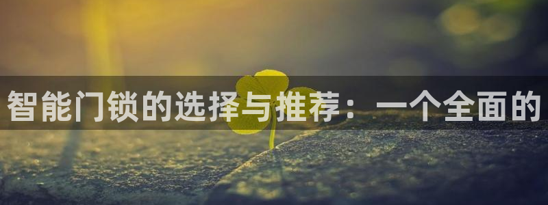 利记坊官网注册账号申请：智能门锁的选择与推荐：一个全面的