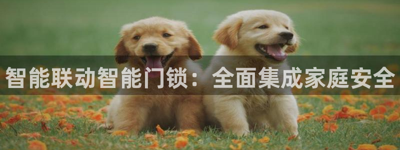 利记游戏官网：智能联动智能门锁：全面集成家庭安全