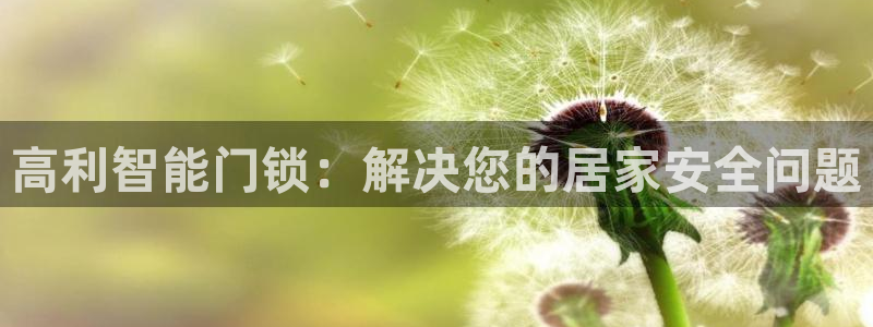 利记手机官网电子mg官方网站：高利智能门锁：解决您的居家安全