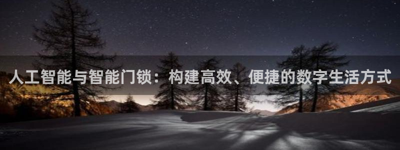 万利记加盟官网电话：人工智能与智能门锁：构建高效、便捷的数字