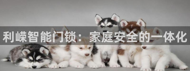 利记官网官方网站：利嵘智能门锁：家庭安全的一体化