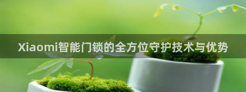 利记官网注册网：Xiaomi智能门锁的全方位守护技术与优势