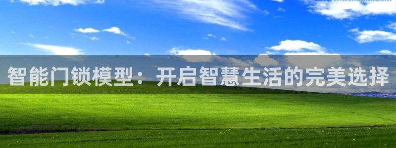 利记信誉官网：智能门锁模型：开启智慧生活的完美选择